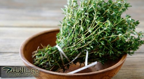 "هترجعك ابن الـ20" .. تعرف على العشبة السحرية الخارقة التي تفوقت علي الطب الحديث لعلاج مشاكل البشرة.. اعرفها قبل فوات الاوان!!