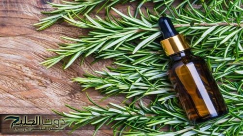 فكرة متخطرش علي بال الجن الازرق !! استكشف فوائد عشبة الروزماري السحرية