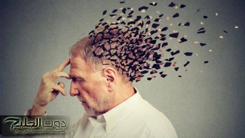 ولا تخطر على بالك !! تقنيات مبتكرة لرفع كفاءة الذاكرة وتعزيز القدرات العقلية