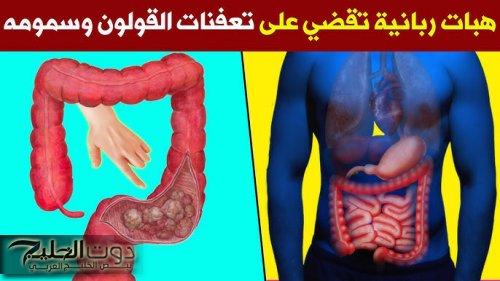 “مش هتحتاج تروح لدكتور تاني!”… عشبة جبارة متوفرة في كل مطبخ تنظف القولون وعلاج طبيعي لمشاكل الهضم والمعدة.. معجزة بمعنى الكلمة !!