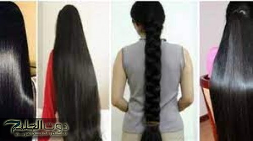 "شعرك هيوصل آخر ضهرك"!!.. لو شعرك مبيطولش وبتعاني تعالي أقولك على خلطة التطويل السريعة في أسبوع هيطول بجنون.. الكل هيسالك عن السر؟!