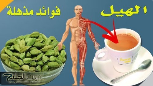 "ما فيش بطن ولا كرش من النهاردة"..حبة فقط قبل النوم وفي يوم واحد تخسس البطن حتى لو كانت مدلدلة