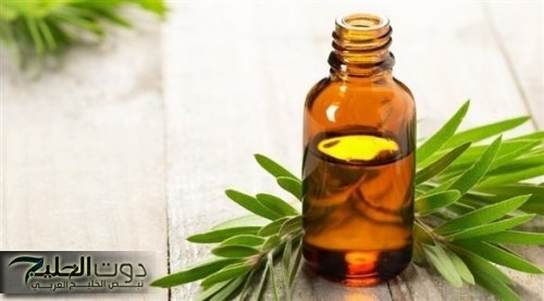 كنز يساوي ملايين الدنيا.. زيت طبيعي جبار ضعيه بهذه الطريقة وانهي على كل مشاكلك للأبد