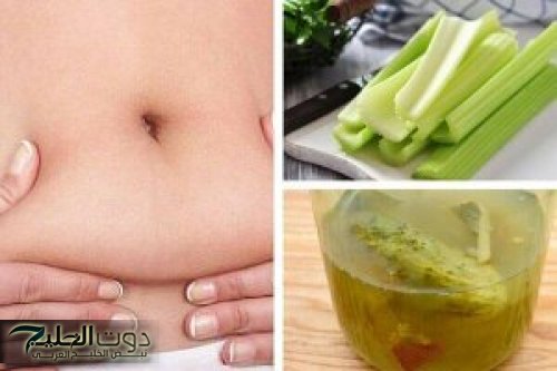 معجزة الارض الخضراء: مشروب متوفر برخص التراب ينهي الكرش ويمنع الشيخوخة وضغط الدم والكولسترول خلال ايام..تعرف عليه!!