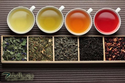 «هتخليه روتينك اليومي»... تناول مشروب ورق الجوافه يوميا على الصباح واستمتع بفوائد جبارها لتقويه المناعه والوقايه من امراض العدوى... اليكم التفاصيل!!