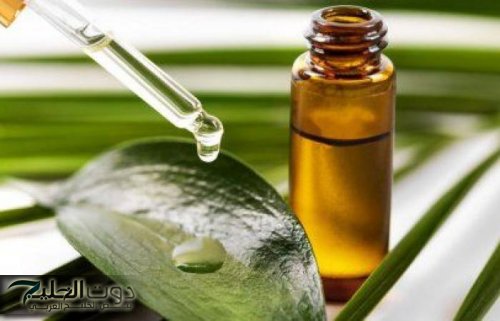 دون الحاجة للتدخل الجراحي.. عشبة سحرية موجودة في كل مطبخ تعالج البواسير وتخلصك من الإمساك المزمن في 5 دقائق