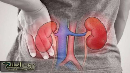 «هتموت بالبطئ..!!» اطباء يحذرون من تناول هذه الاطعمة تدمر المناعة والكلي وتؤدي الى الوفاة..سم قاتل وانت ما تعرفش..!!