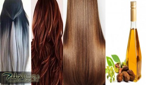 "هتخليكي بنت الـ20 في أقل من اسبوع".. خبيرة تجميل أردنية تكشف عن طريقتها المدهشة لصبغ الشعر الأبيض العنيد و علاج الشيب في 40 دقيقة فقط !