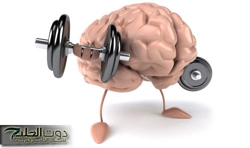 ندمت اني معرفتهاش من زمان !! معجزة كبيرة بين يديك.. تمرين سهل لو فعلته ثلاث مرات قبل النوم يقيك من الخرف والزهايمر مهما كان عمرك ويجعل ذاكرتك فولاذية كالحديد