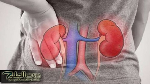 «هتموت بالبطئ..!!» اطباء يحذرون من تناول هذه الاطعمة تدمر المناعة والكلي وتؤدي الى الوفاة..سم قاتل وانت ما تعرفش..!!