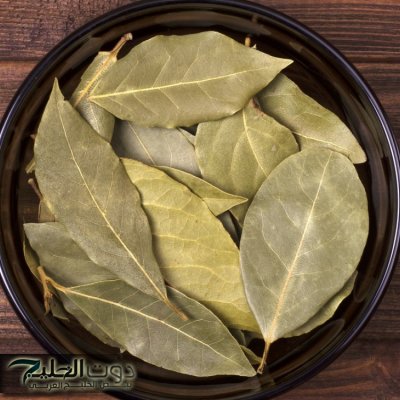 كنز رباني في بيتك.. معجزة ورق الغار سيجعل بطنك مسطحا وشعرك كثيفا.. استخدميه بهذه الطريقة