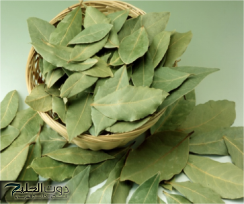 «هتلاقيها عند العطار برخص التراب»... تناولها بهذا الشكل وهتصغري 20 سنة .. فوائد جبارة لهذة العشبة!!