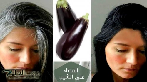 « ياريتني عرفت من زمان»....وصفة الباذنجان لعلاج الشيب نهائيا في ساعة واحدة وبدون رجوعه وبدون استخدام صبغات كيميائية ضارة أو الذهاب للكوافيرات!!!؟