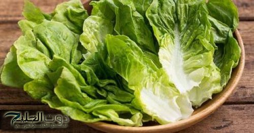 معجزة ربانية لـ عشبة متواجدة بكل بيت يهملها الكثير تنظف الكبد من السموم وتضبط الكولسترول وتعالجك من الزكام السعال في دقائق وتعتبر الحل الجذري روماتيزم