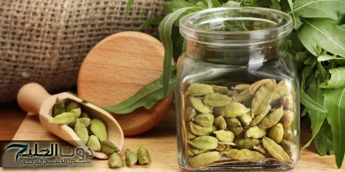 "معجزة حقيقية"..بذور صغيرة تقوي المناعة ومفيدة للذاكرة والكلى وتعالج مشاكل العظام!!