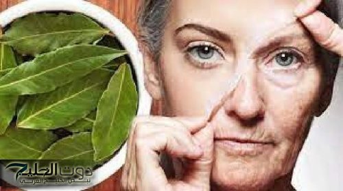 «بترجع العجوز شباب!» .. عشبة جهنمية لكنها خارقة وتعيد شبابك حتى لو كنت بعمر 70 سنة.!!