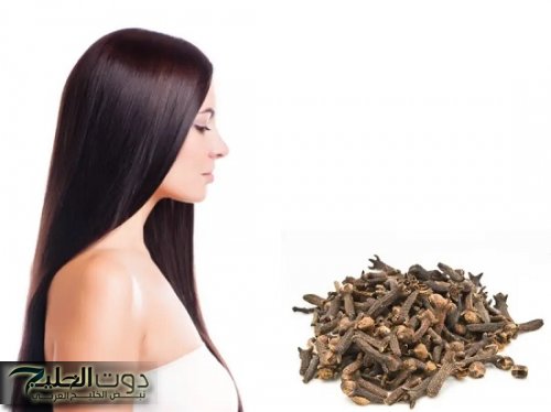 شابة حسناء سعودية وضعت القرنفل على هذه المنطقة من جسدها لمدة 3 أيام لن تصدقوا ماذا حدث لها!!