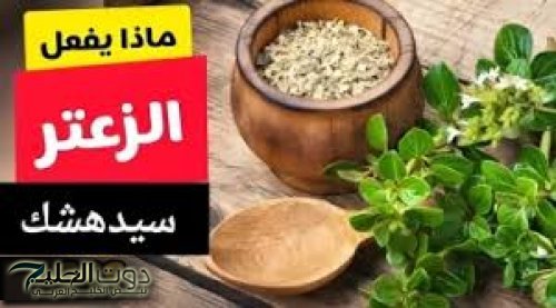 "كأنك لقيت مصباح علاء الدين!".. عشبة لا يعرفها الكثيرين ولكن تصنع اشياء مذهلة للغاية| هتحللك كل مشاكلك!