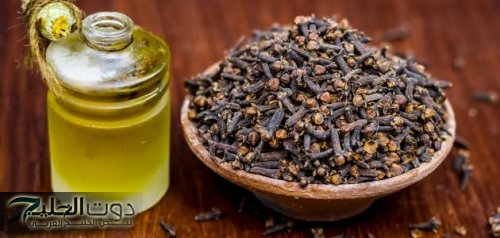 "جوزك هيموت فيكي".. ضعي زيت الزيتون على القرنفل كل يوم بهذه الطريقة واحصلي على نتائج رائعة في يومين فقط .. سحر هيغير حياتك كلها !!