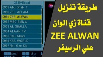 الدراما الهندية في بيتك.. تردد زي الوان Zee Alwan 2024 على النايل سات وعرب سات وطريقة تنزيلها على الريسيفر