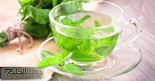 ازرع النعناع في البيت زي المحترفين بخمس خطوات سهلة: سر الفلاحين لنعناع طازج وريحتو تهبل