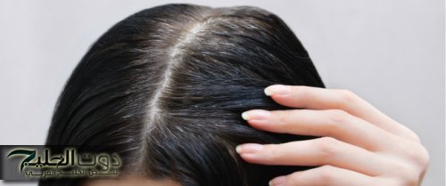 «رجعي الشباب تاني..!!» افضل وصفة للتخلص من الشعر الابيض والشيب المبكر نهائيا بمكونات طبيعية وآمنة 100%.. مش هتعرفي شكلك في المرايه..!!