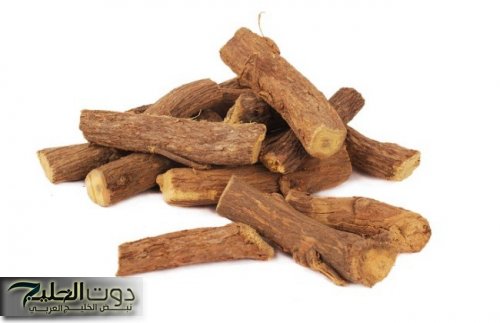 «عشبة نعمة ورحمة من الله»..عشبة من الجنة تقضي على ورم السرطان تماما وتنمو في الشتاء.. طريقة الاستخدام!!