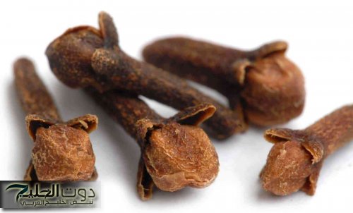 شابة حسناء سعودية وضعت القرنفل على هذه المنطقة من جسدها لمدة 3 أيام لن تصدقوا ماذا حدث لها!!