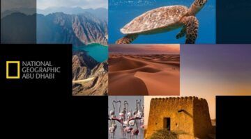 تردد قناة ناشيونال جيوغرافيك نايل سات 2024 لمتابعة عالم الحيوان والطبيعة والبحار والفلك بجودة HD