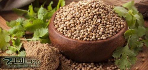 أقوى من إبرة الانسولين بمليون مرة... عشبة سماوية جبارة تضبط السكر في الدم وتفتت الحصى في الكلى