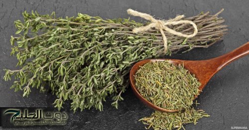 «العشبة الخارقة التي أذهلت العلماء: عشبة النبي أيوب لعلاج ضغط الدم وآلام المفاصل وأكثر!»