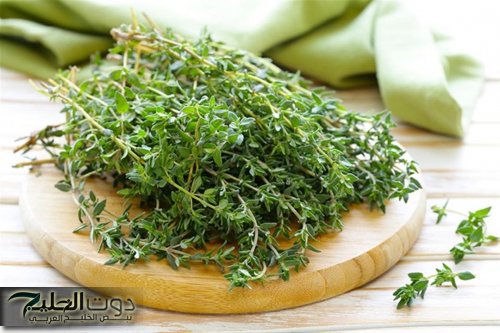 [عطار ابن عطار قالي عليها].. فوائد الزعتر للجسم وطريقة استخدامه في إعداد وصفة طبيعية للبشره.. طريقة الإستخدام!!