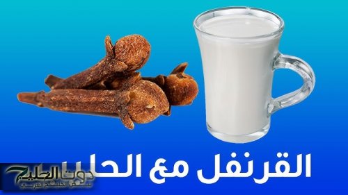 «هيخليك زي الحصان» ؟؟.. اشرب كوب حليب مع ملعقة قرنفل قبل النوم وشوف النتيجة