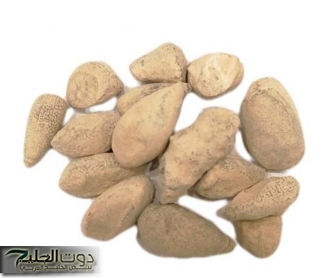 “عطار ابن حلال قالي عليها” .. عشبة جبارة موجودة في مصر وفلسطين تشفي من أمراض الكلى وتنسف الدهون والكرش والحل الأمثل لمشكلة المرارة