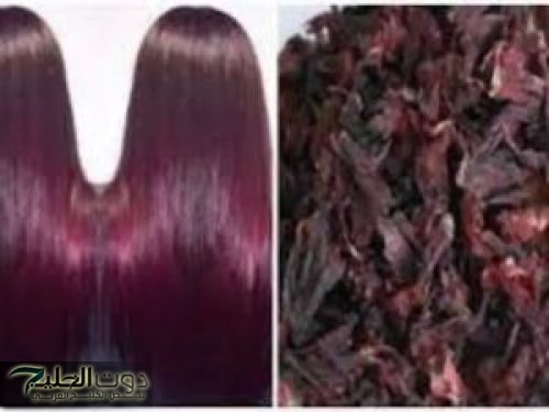 الكركديه مش للضغط وبس.. استخدامات مذهلة للكركديه هتحل كل مشاكل شعرك.. طريقة الاستخدام