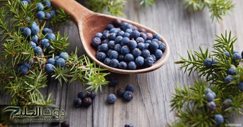 عشبة تعيد احياء الكبد!!... عشبة منسية تعيد احياء الكبد وتقضي على الكولسترول والسعال.. مش هتصدق!