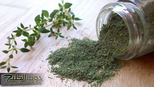 "فوايده ما بتخلصش".. العشبة دي لو واظبت عليها هترجعك شاب تاني من اول وجديد حتي لو كنت في الـ70 من عمرك.. العشبة دي كنز لا يقدر بثمن!!