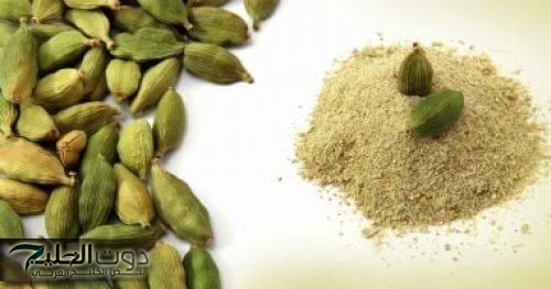 "عرفتها من دكتور".. لو صادفتك في الاكل اوع ترميها امضغها وادعيلي.. مش هتصدق اد اي هي مفيدة للجسم!!