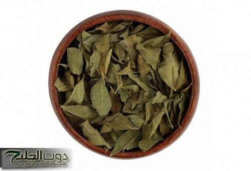 العشبة المعجزة من قلب السعودية.. تمتص السكر في الدم بثلاثة أضعاف قوة إبرة الأنسولين!