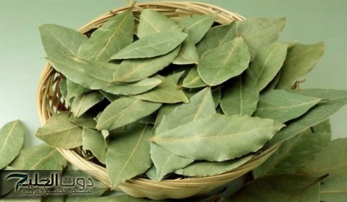 متواجدة برخص التراب عشبة معجزاتها المذهلة كثيرة .. تناولها بهذا الشكل وستعود بك إلى سن الـ 20 حتى لو كنت 70 سنة .. إليكم فوائده الجبارة استغلها!!