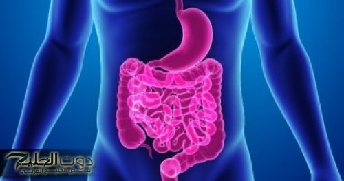 فى دقائق معدودة .. "شاب عربي يكشف عن عشبة جبارة موجودة في كل مطبخ تنظف القولون سريعة جدا!!