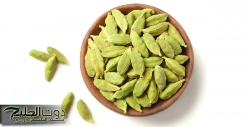 "طفرة"...اعرف ماذا يحدث لجسمك إذا تناولت القرنفل وحبتين من الهيل كل يوم بتلك الطريقة فقط طبيب سعودي يفاجئ الجميع بالإجابة!