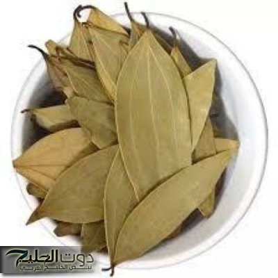 "هتشوف العجب".. تعرف على معجزة تناول ورق الغار بالطريقة دي هترجعلك شبابك ونشاطك كأنك في العشرين!!