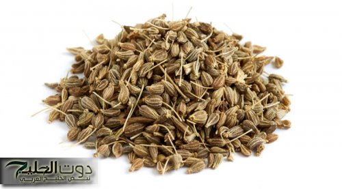 عشبة المعجزة متوفرة منزلك لكنها مهملة تقضي على السعال والزكام بلحظات..تعرفوا عليها واحرصوا عليها.!