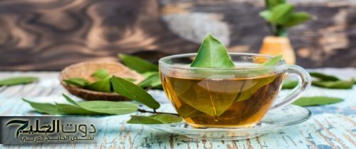 هترجع شباب حتى لو سنك 70 سنة!!... استخدمات مذهلة لورق الغار مستحيل تخطر على بالك!