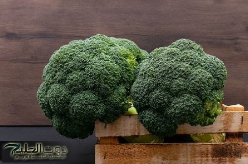 اتحدت الطب الحديث... العشبة البسيطة دي تحارب الكوليسترول وتقضي على حموضة المعدة وتقوي جهاز المناعة بشكل خيالي!!