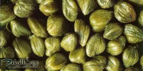 عشبة مفيش زيها ...متوفرة بسعر التراب تخفض السكر التراكمي خلال دقائق بسيطة.. وتعتبر أقوى من إبرة الانسولين!!