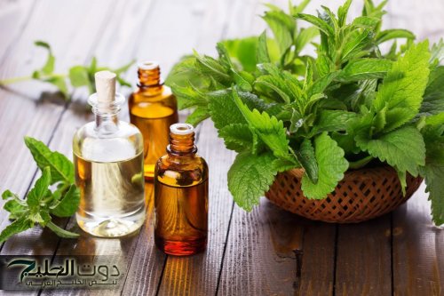 "شعرك مش هينزل منه شعراية واحدة بعد النهاردة!".. عشب ينمو بكثرة ومهمل ويبتعد عنه الجميع دون أن يعرفوا قيمته يساعد في علاج تساقط الشعر!!