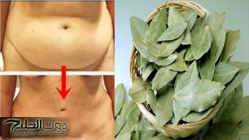 عشبة جت من السماء... استخدموها بالطريقة دي لمدة 3 أيام بس وقولوا وداعا للكرش ودهون البطن... متوفرة في كل بيت!!