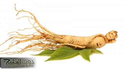 دون الحاجة الى الرجيم والرياضة المرهقة.. عشبة جبلية سحرية نزلت من السماء موجودة في كل مطبخ تسد الشهية وتنقص الوزن!!